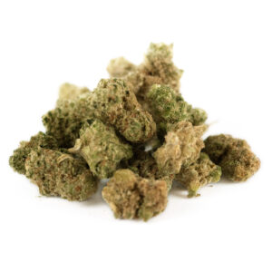 Amnesia Haze Indoor