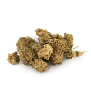 Biscoti Indoor