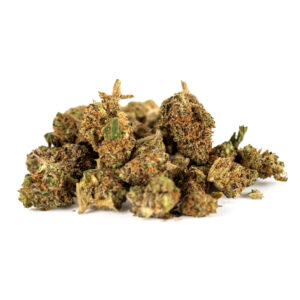 White Purple Indoor