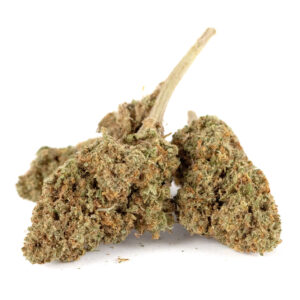 Biscoti Outdoor