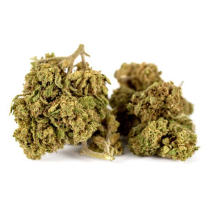 V1 Outdoor
