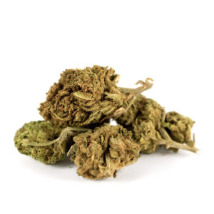 Zkittlez Outdoor
